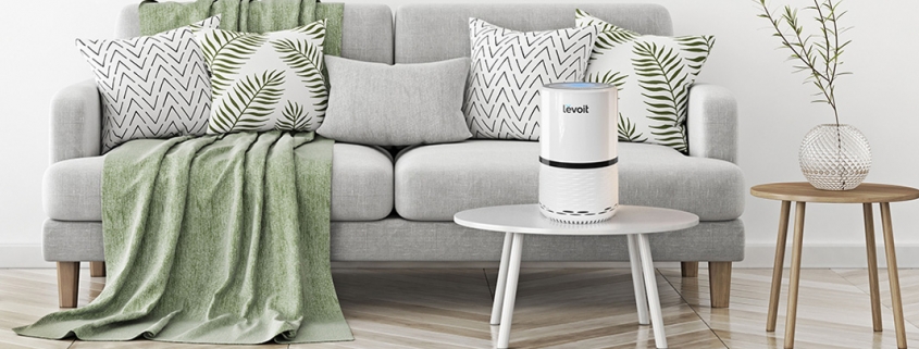 Levoit вече и в България