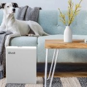 Пречиствател за въздух Levoit