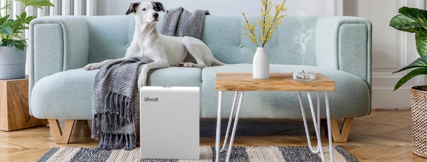 Пречиствател за въздух Levoit