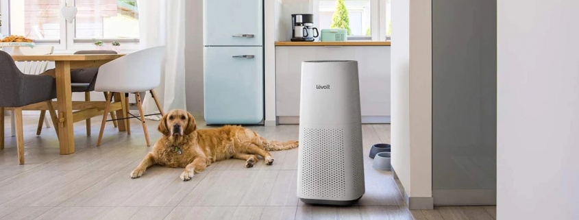 Levoit-LV-H134