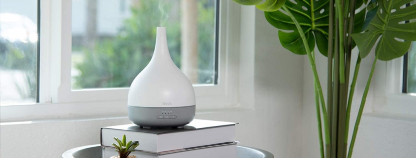 Дифузер Levoit Premier 100