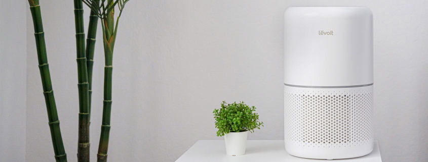 Levoit-about3
